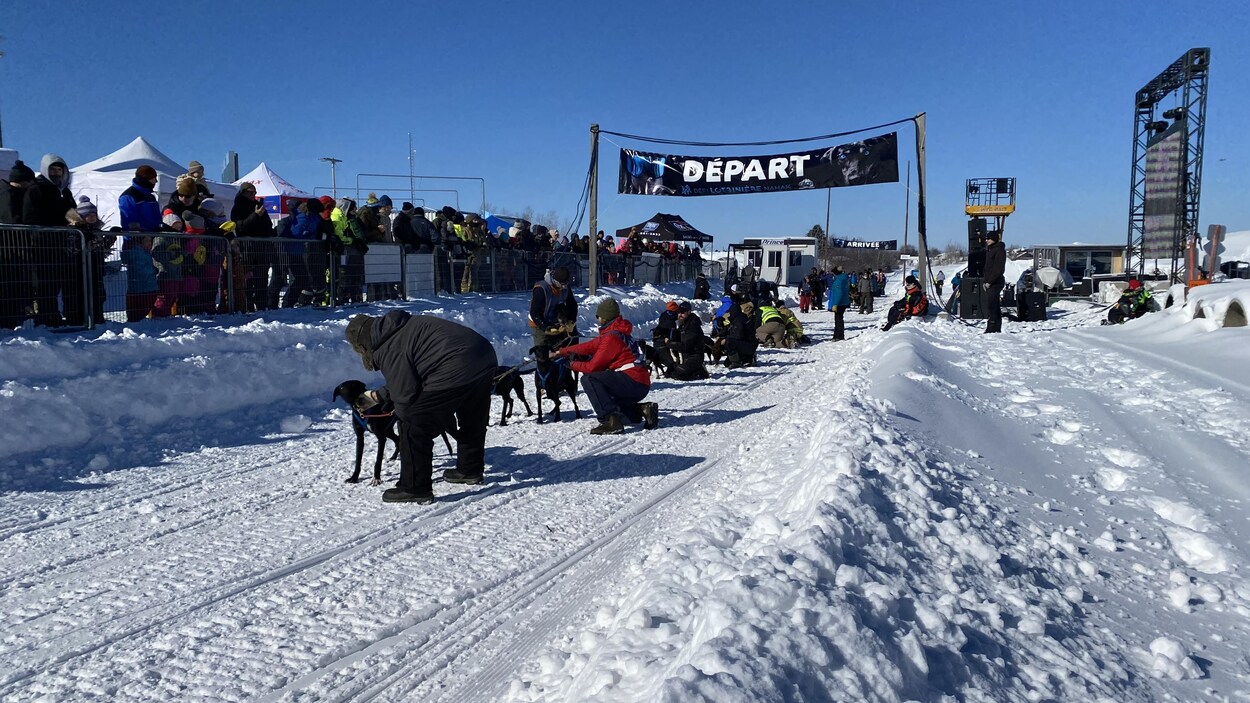 Des meneurs de chiens préparent leur traîneau et leurs chiens avant le début de la course.