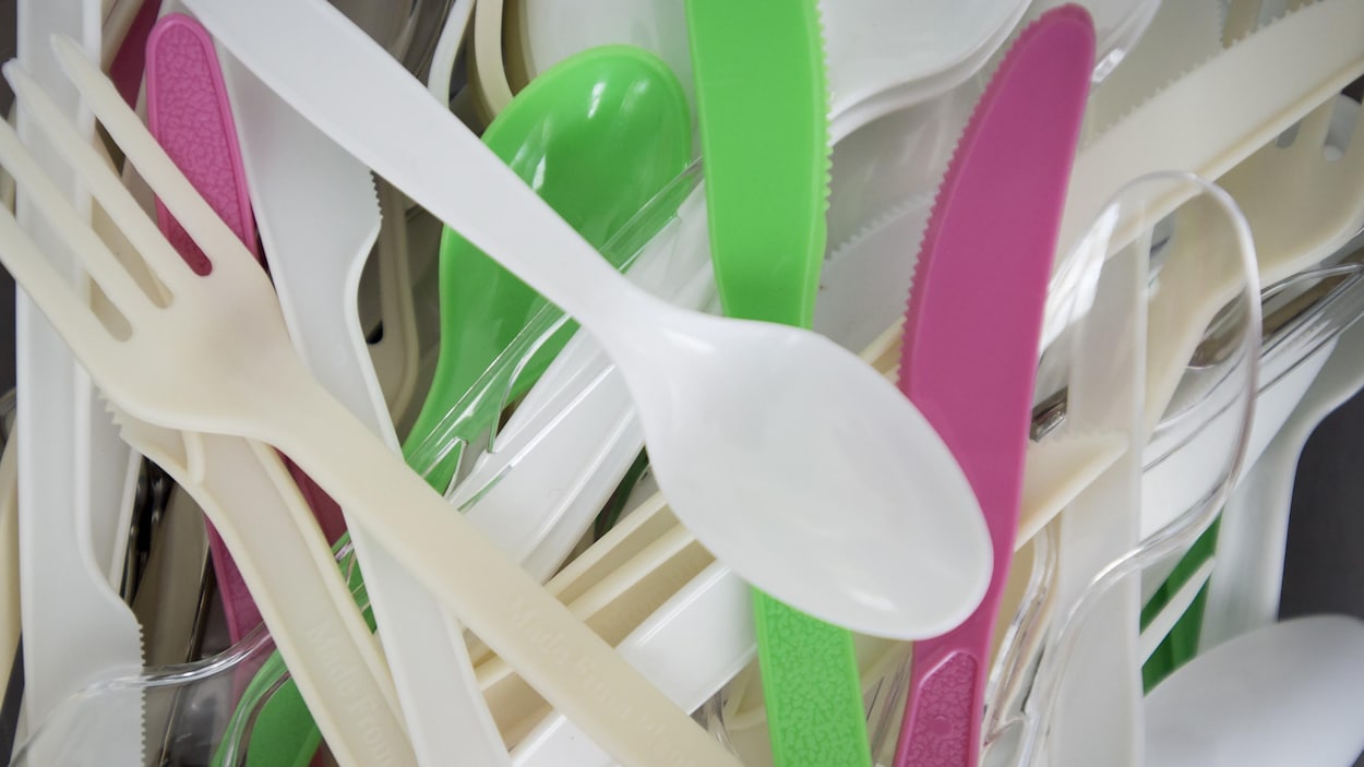 Les gobelets plastique à usage unique interdits le 3 juillet en France ! -  Newcy
