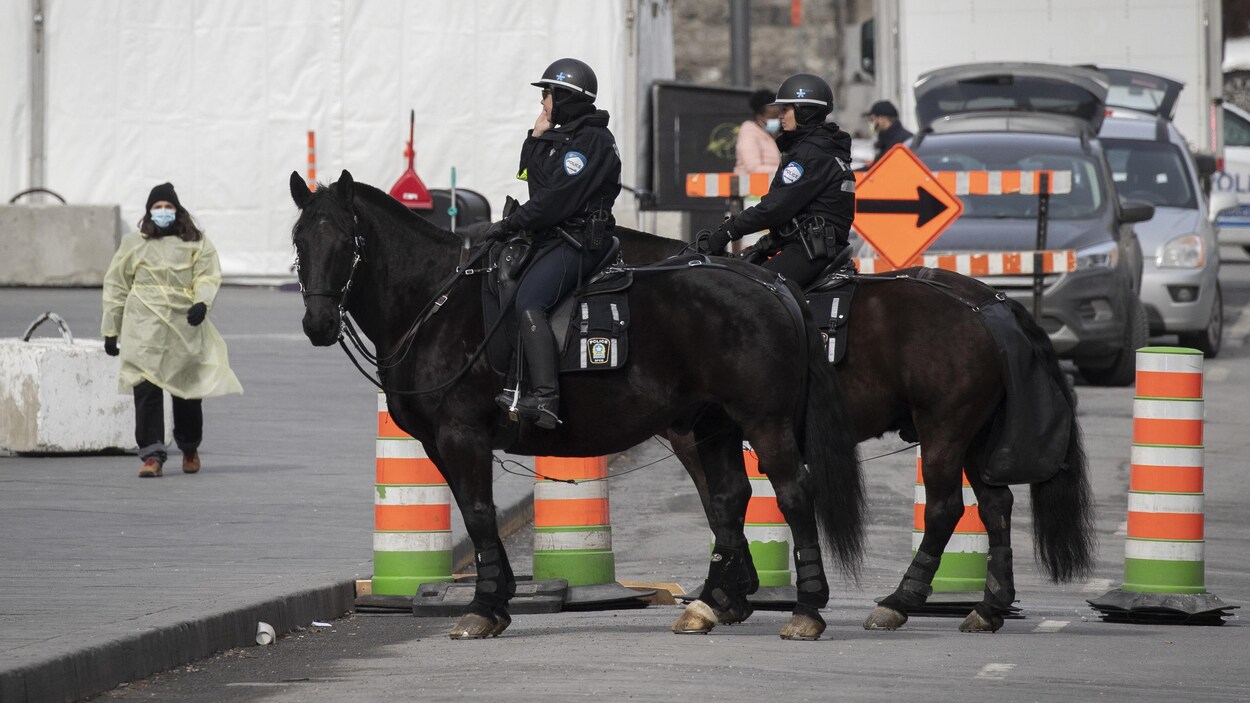 Des policiers de Montréal à cheval.