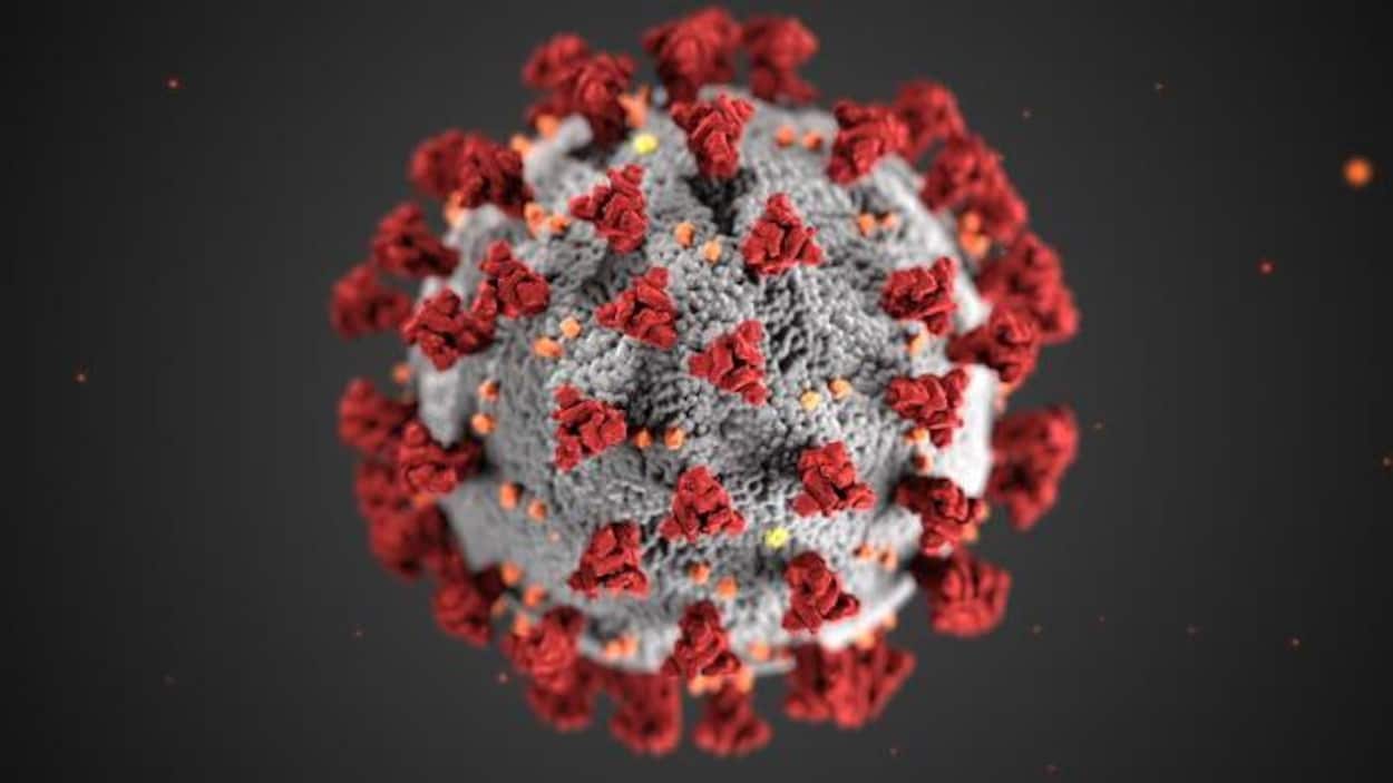 Une molécule du virus COVID-19
