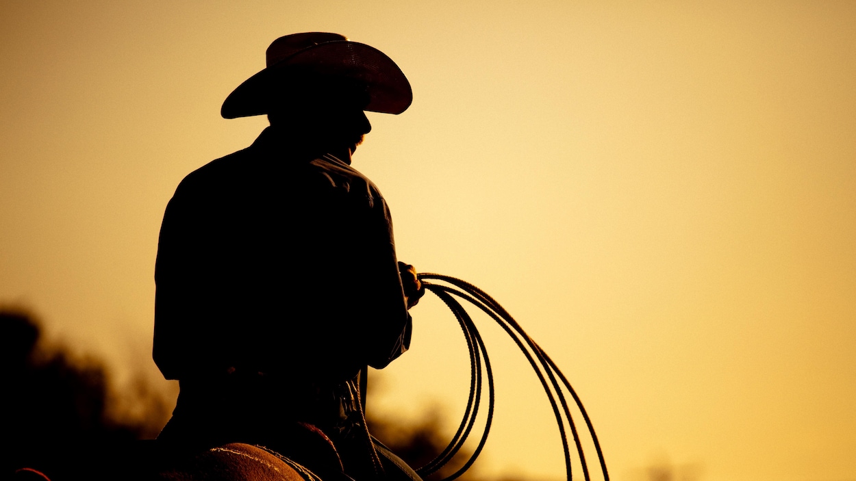 Un cowboy sur un cheval.
