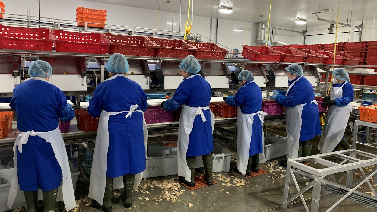 Un pot de cennes noires pour dénoncer le « trou noir »