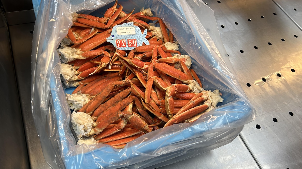 Du crabe pour Pâques, croient les pêcheurs