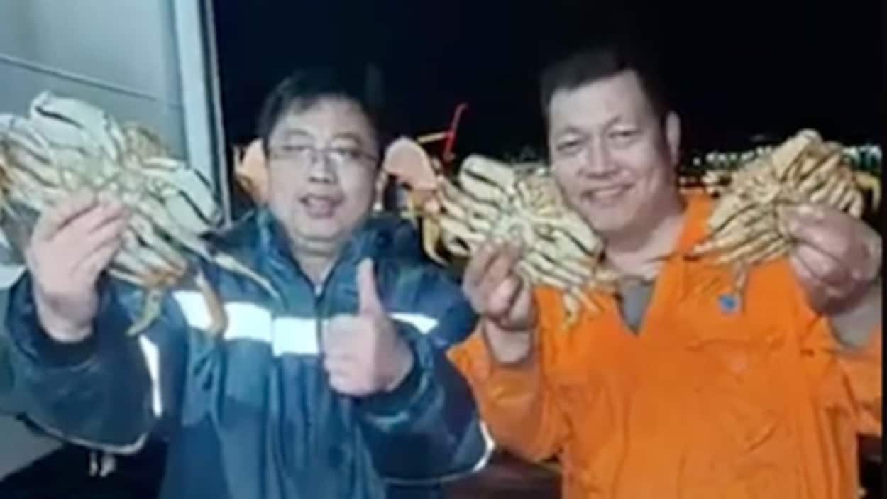 La vidéo d’une pêche miraculeuse au crabe dormeur fait l’objet d’une enquête