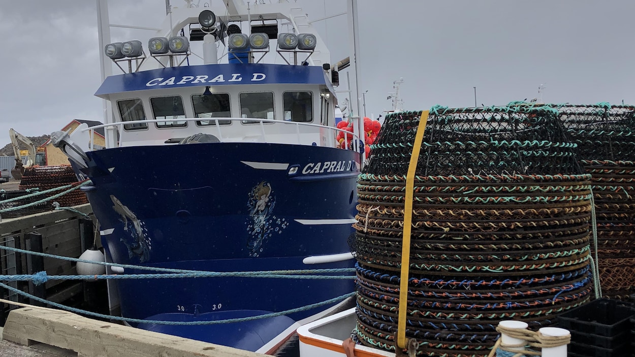 Un début de saison de pêche au crabe des neiges tardif, disent les pêcheurs de la zone 12