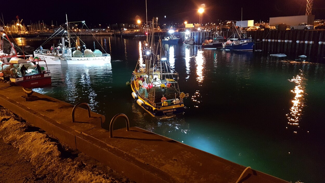 Des crabiers à la marina de Rimouski.