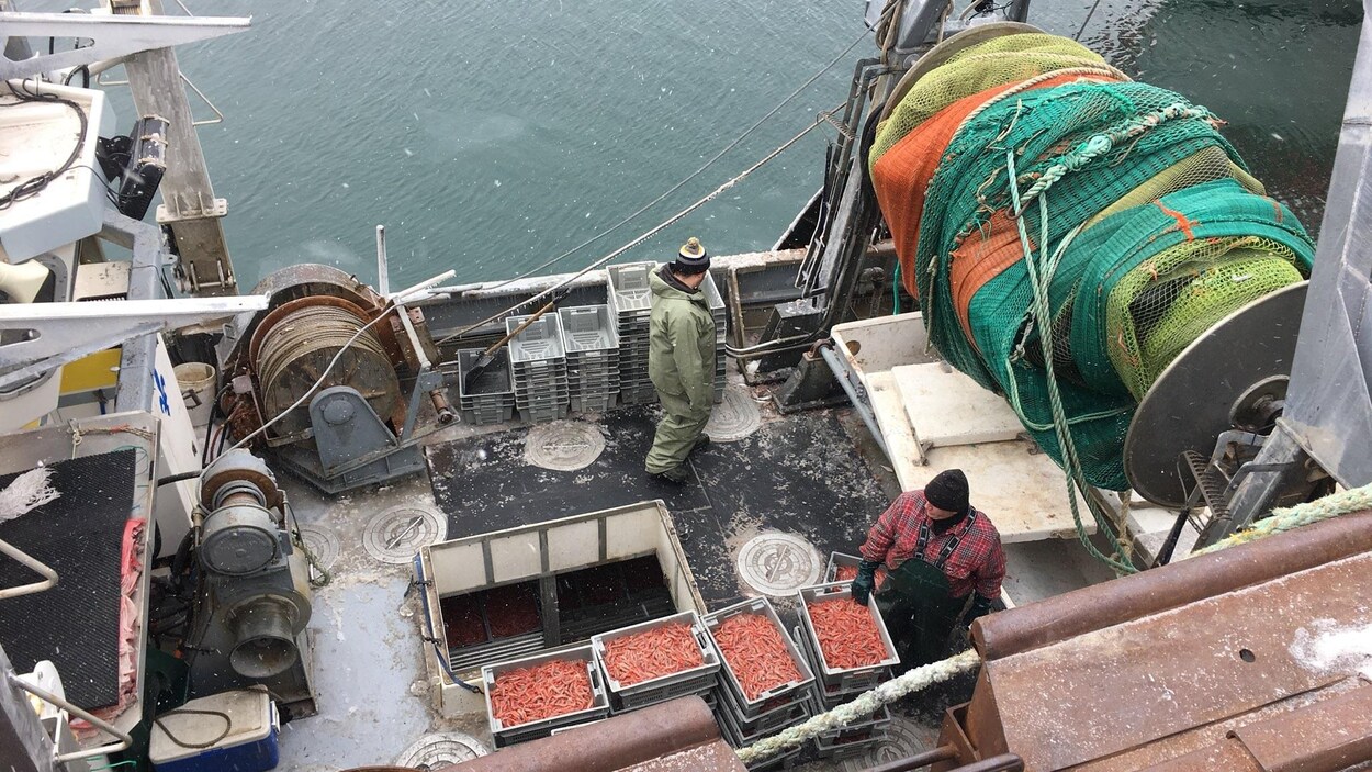 Les pêcheurs s'apprêtent à décharger le premier arrivage de crevettes au quai de Sept-Îles au matin de Pâques 2018.