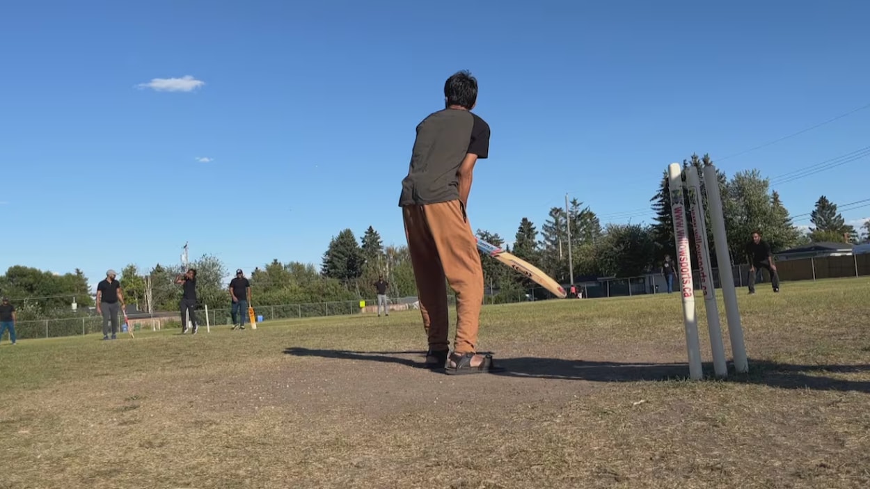 Le cricket est victime de sa popularité à Calgary