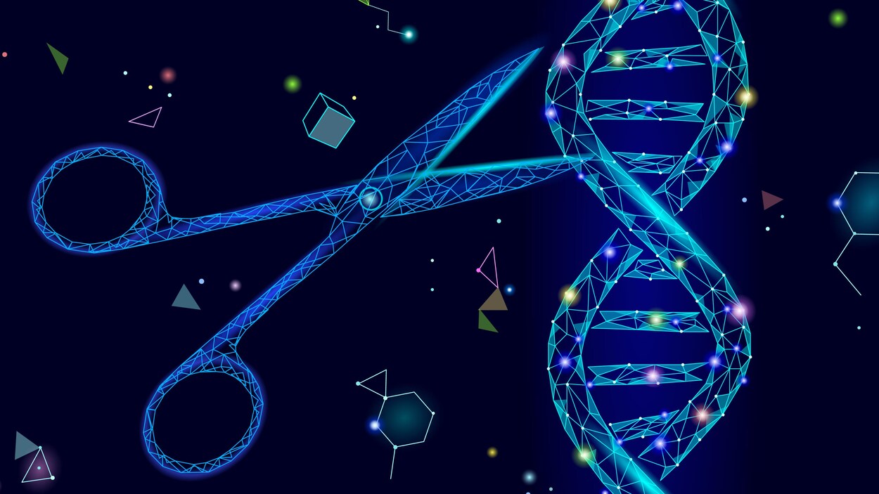 Illustration artistique d'un couteau et de la double hélice d’ADN.