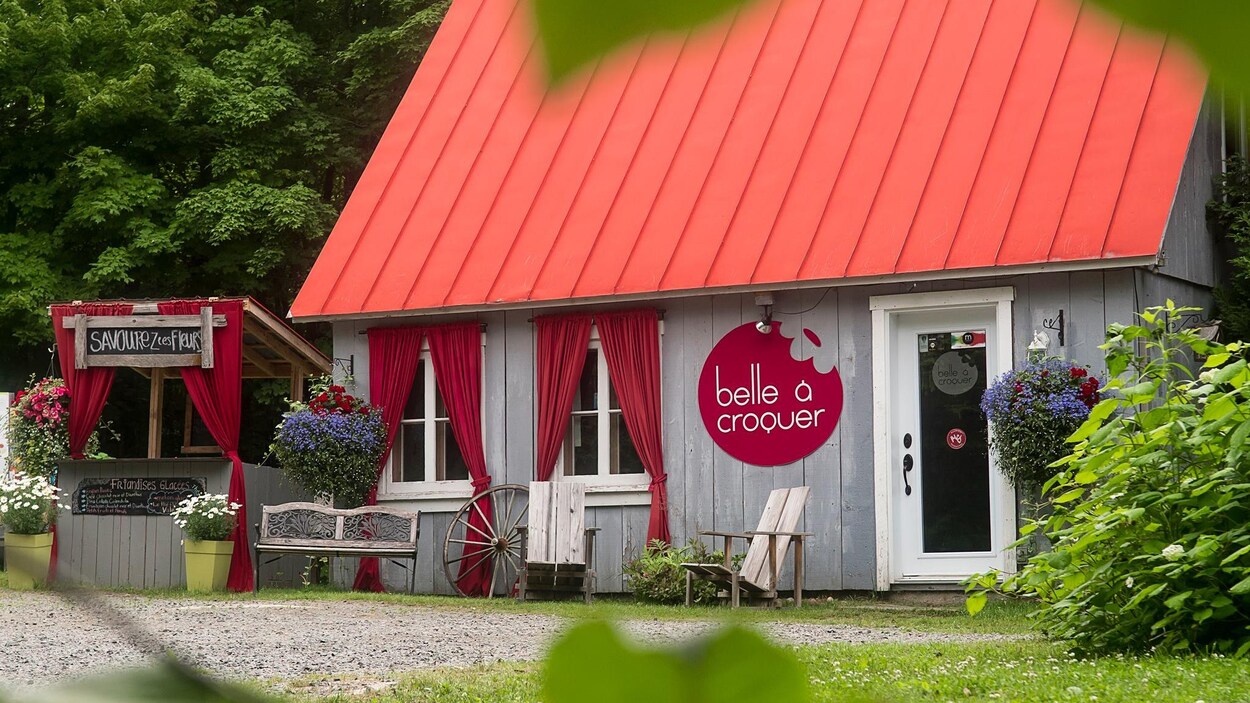 L'entreprise de Sainte-Thècle Belle à croquer se spécialise dans la production de fleurs comestibles et produits de beauté. L'entreprise de Sainte-Thècle Belle à croquer se spécialise dans la production de fleurs comestibles et produits de beauté.
