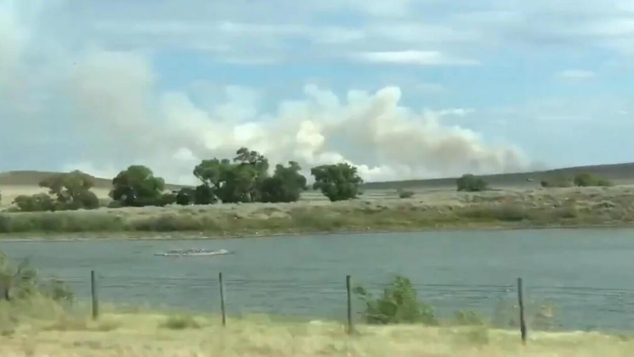 Un feu de forêt au loin