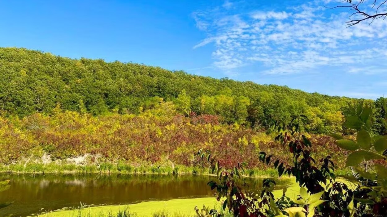 Le Dakota du Nord créera un nouveau parc d’État près de la frontière avec le Manitoba RadioCanada