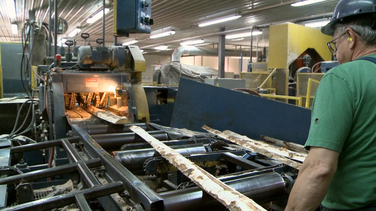 Un travailleur dirige des morceaux d'arbres dans de la machinerie de l'usine.