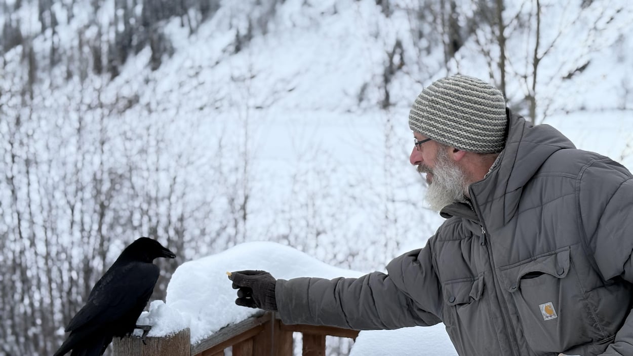 Daniel Vigliotti, l’ami des corbeaux de Dawson