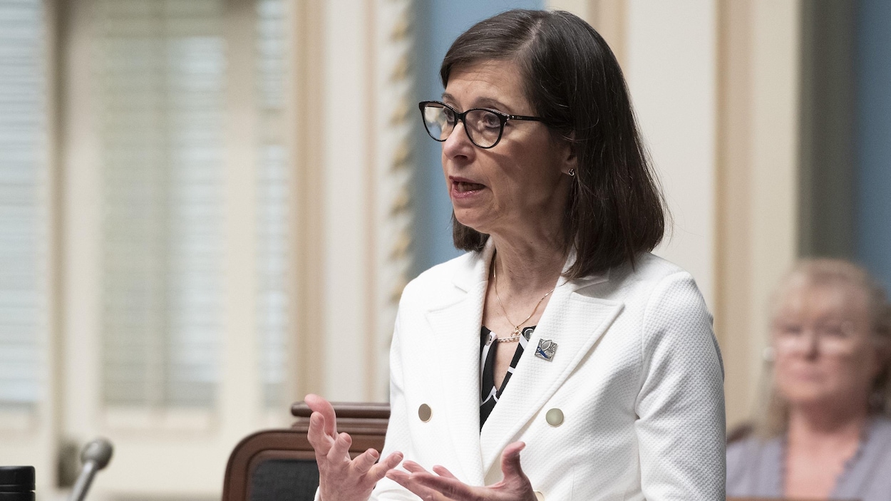 La ministre McCann, debout, prend la parole lors d'une séance de travaux à l'Assemblée nationale.