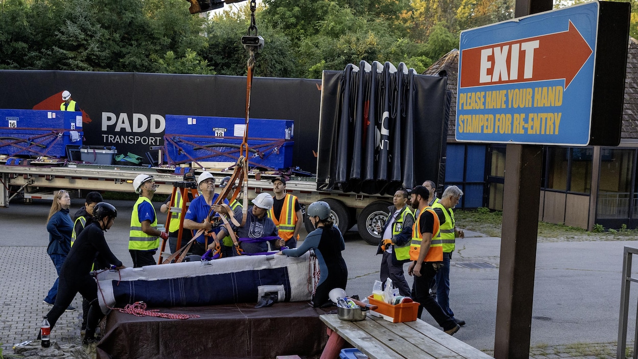 Marineland : départ des derniers dauphins et mort d’un béluga