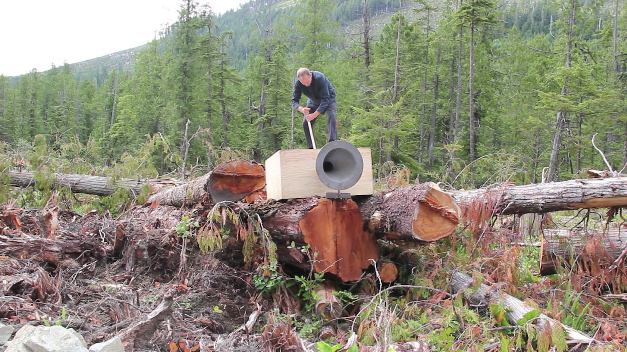 L'artiste se tient debout sur un coffre en bois muni d'un cornet en métal et qui est posé sur un tronc d'arbre coupé. Il actionne un levier pour jouer de l'instrument.