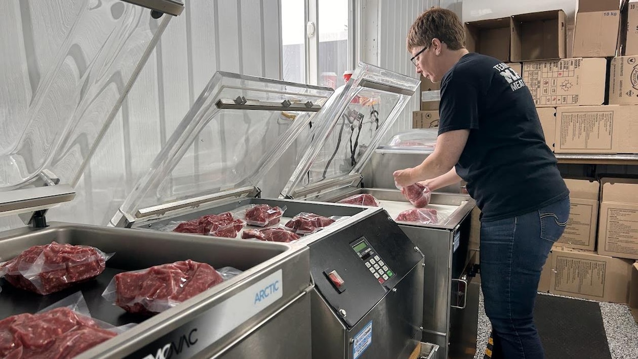 Moins d’orignaux abattus, mais plus de travail pour les bouchers