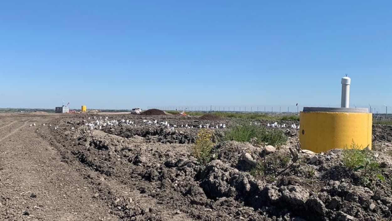 L’odeur de « poubelle » à Calgary proviendrait de la décharge dans le sud-est de la ville