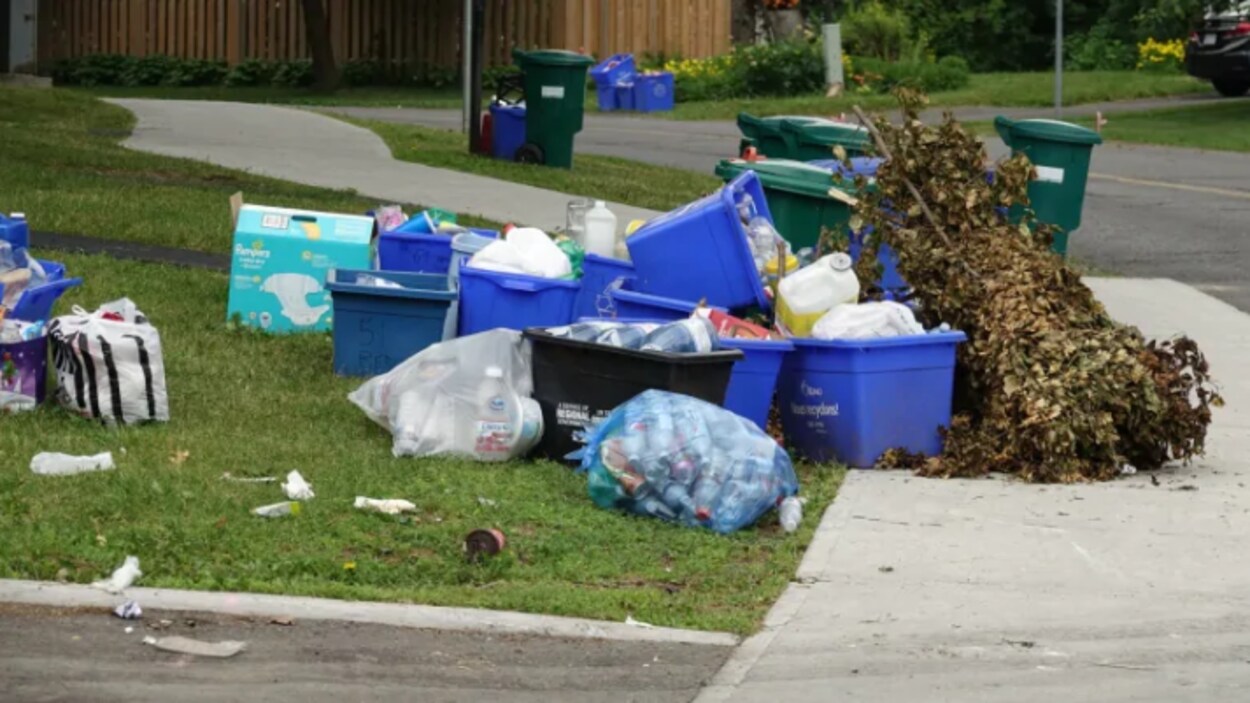 Des poubelles de recyclage en attente d'être ramassées à Ottawa.