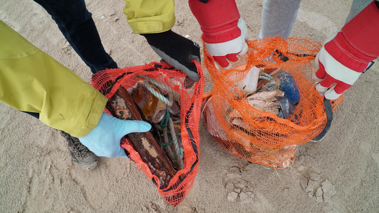 Lot De 6 Gants De Nettoyage Sable Plage - Polaire Corail Avec Bande Élastique (4 Grands + 2 Petits)
