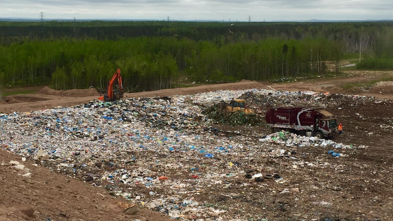 Le N.-B. veut limiter la quantité de déchets organiques dans ses sites d’enfouissement