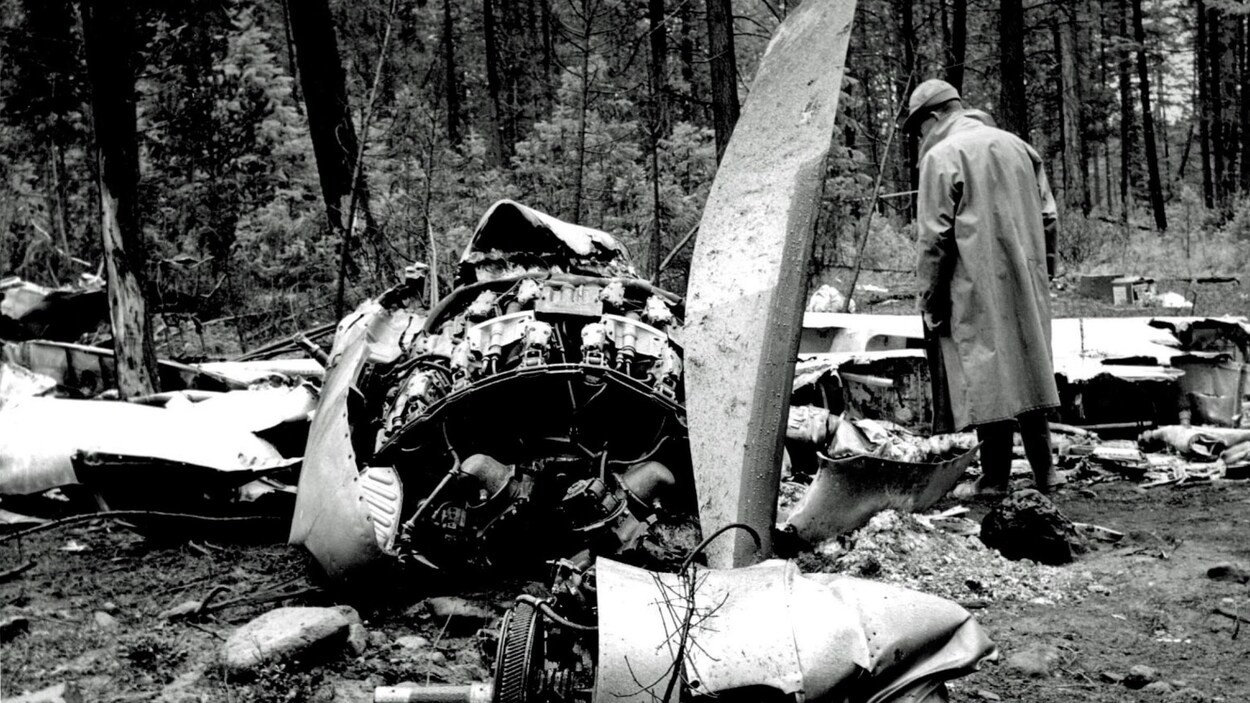 Une personne regarde la carcasse de l'avion.