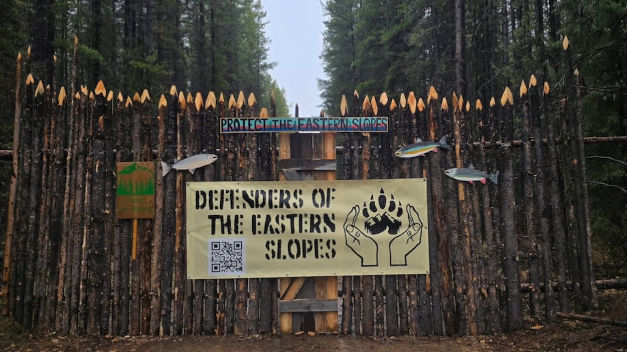 À Kananaskis, un projet d’exploitation forestière est contesté en justice