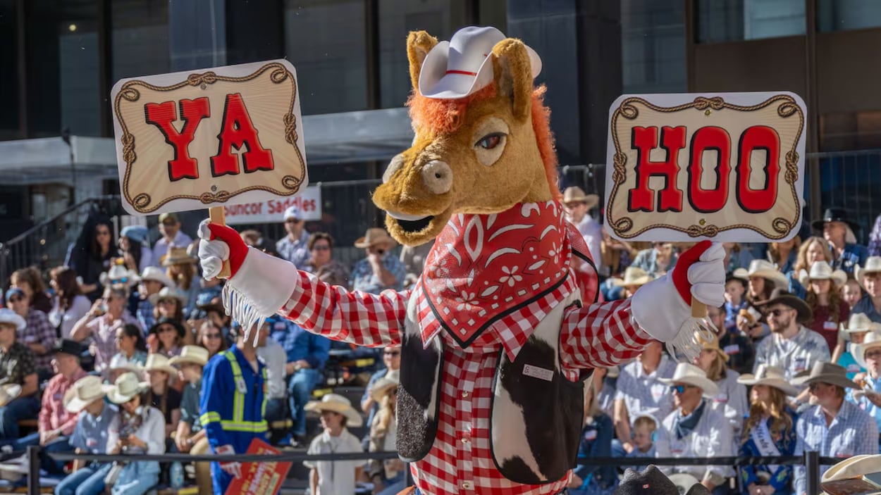 Stampede : fréquentation en baisse