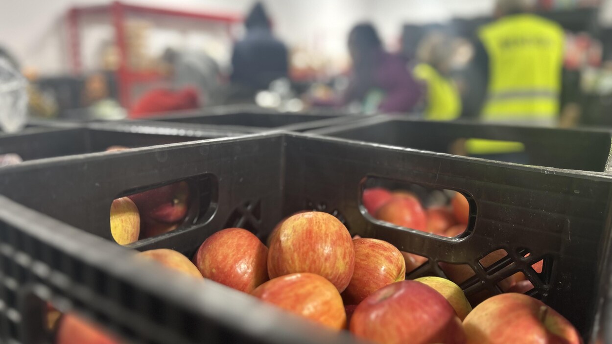 Une forte demande pour l'aide alimentaire à Rimouski