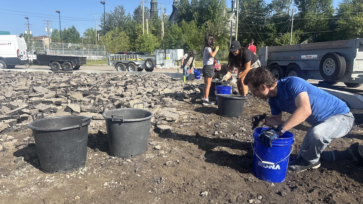 L’École Le Tandem à Jonquière retire l’asphalte de sa cour pour la reverdir