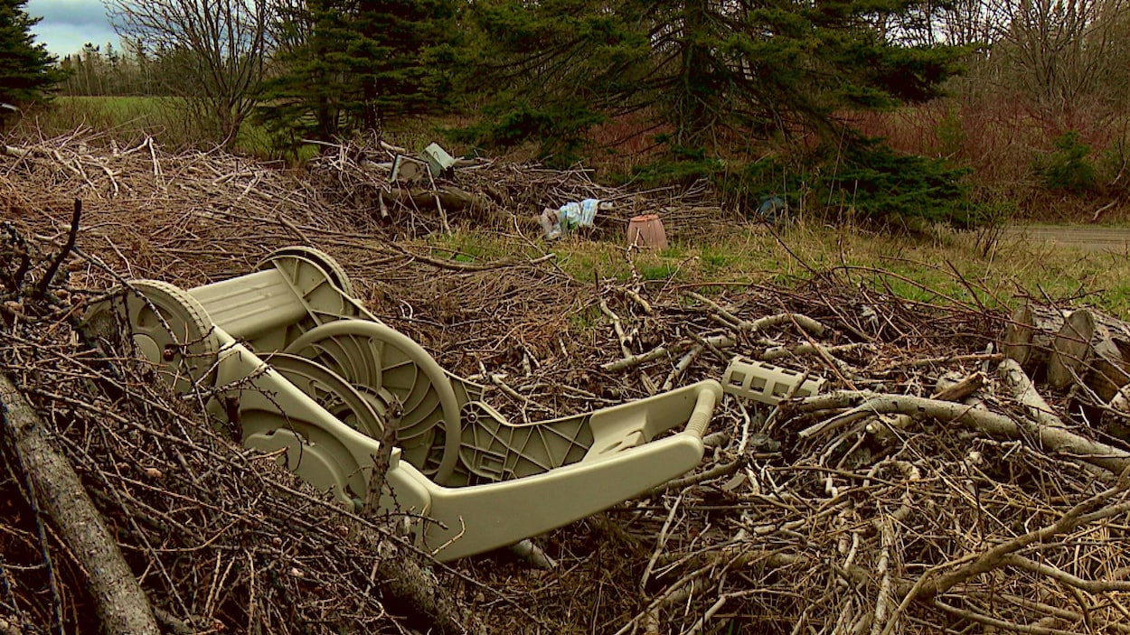 Gros déchets dans la nature.