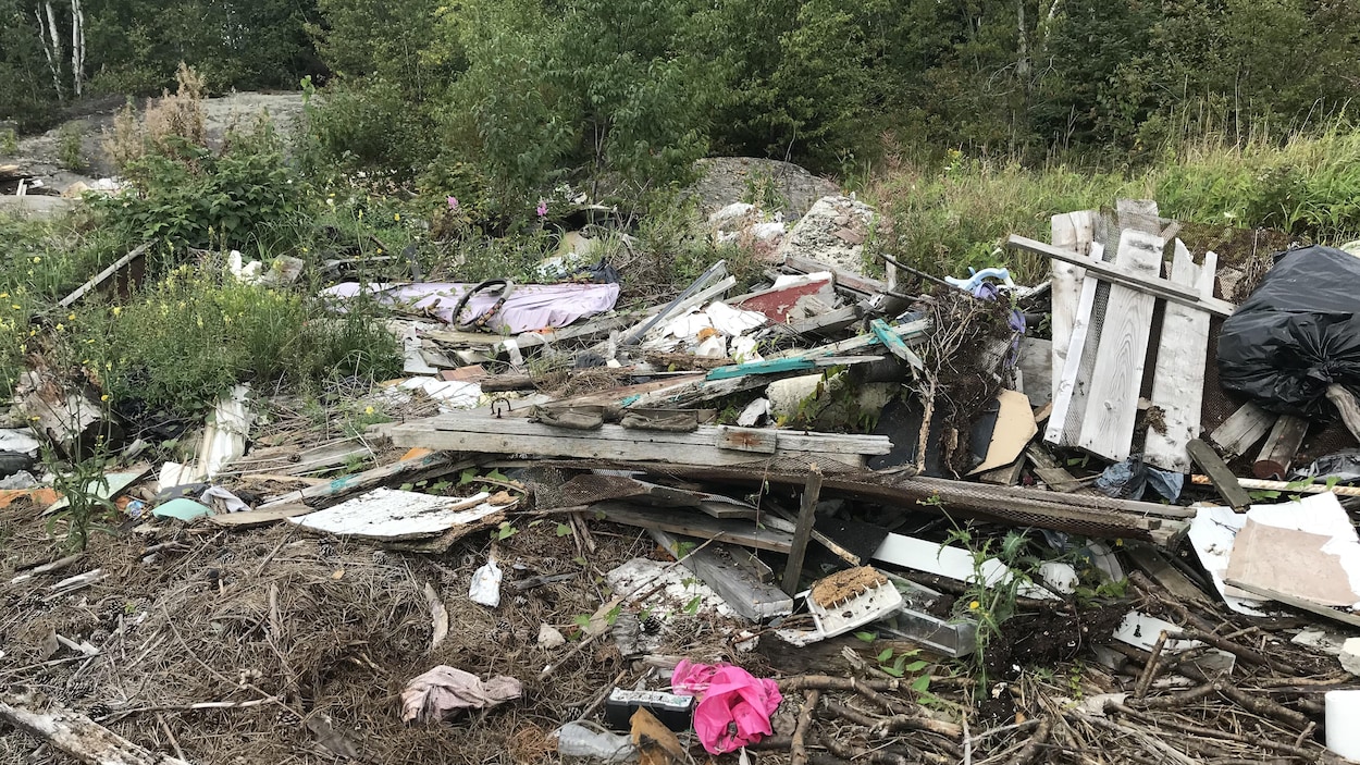 Des objets jetés constituent un dépotoir illégal en forêt. Des objets jetés constituent un dépotoir illégal en forêt.