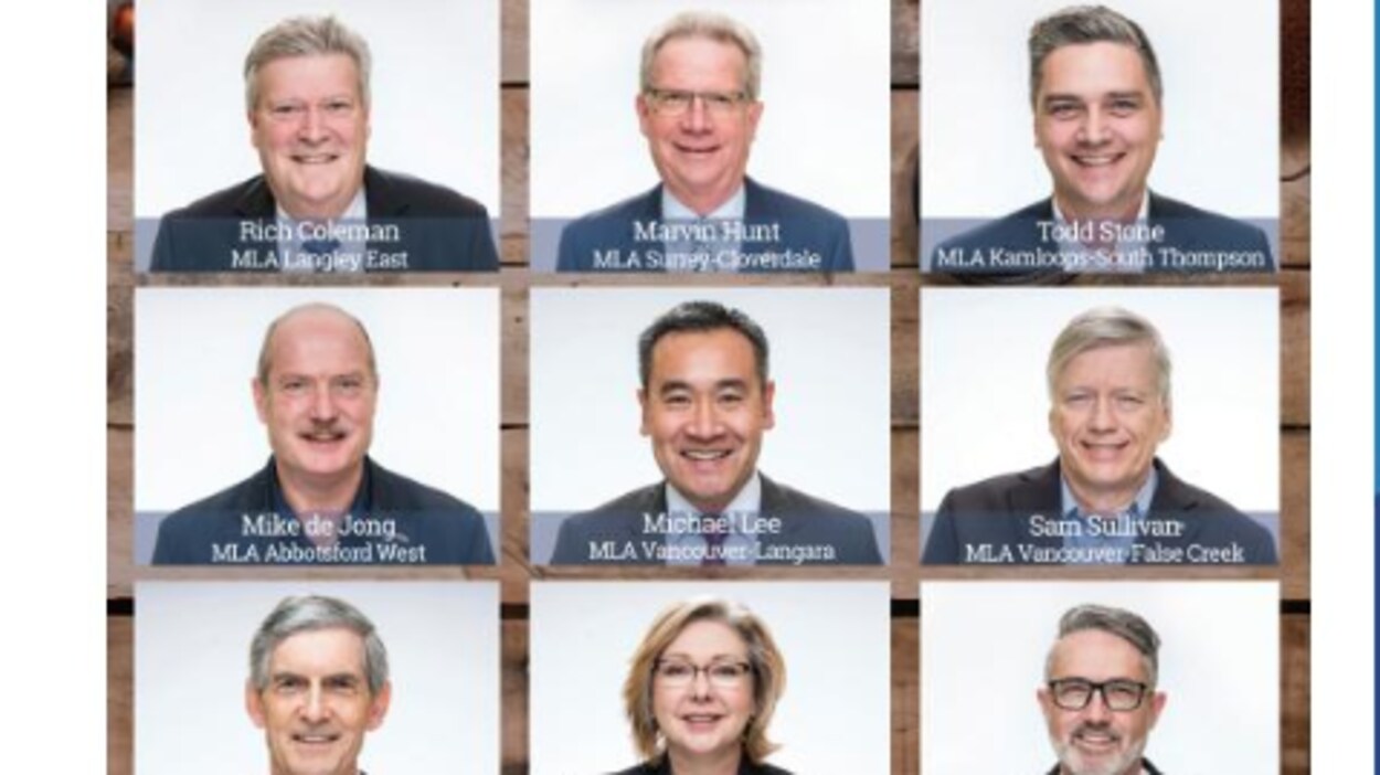 Plusieurs députés libéraux apparaissent dans une publicité publiée dans le magazine The Light.