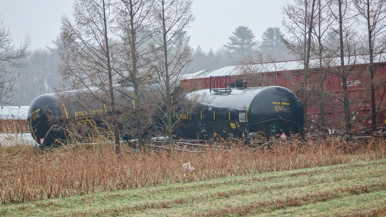 Des wagons-citernes sont dans un champ.