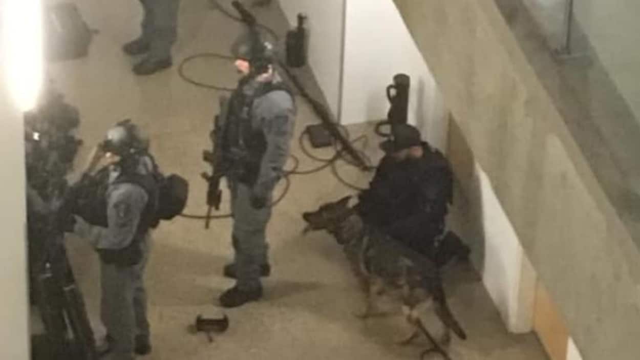 Des policiers, lourdement armés et accompagnés d’un chien renifleur, procèdent à une descente dans un immeuble à Saskatoon.