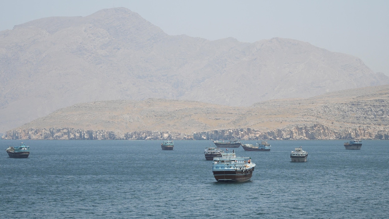Fertilizer blockade in the Gulf raises fears of a major humanitarian crisis