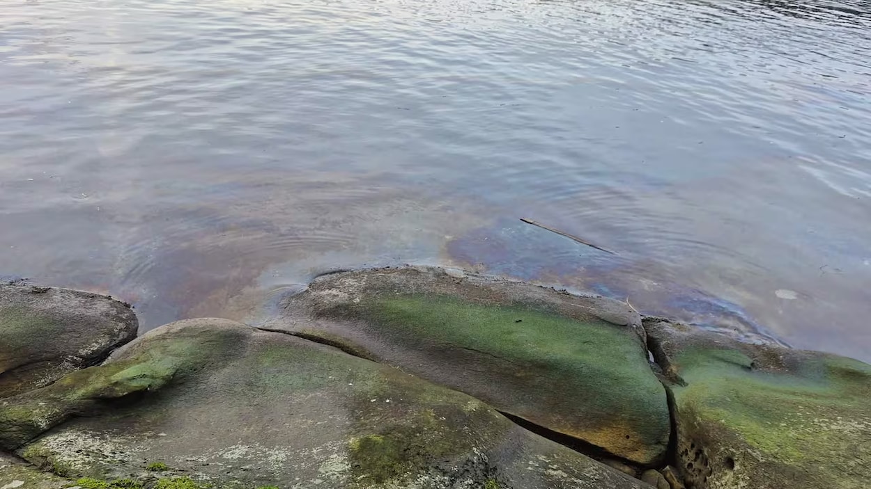 Déversement d’hydrocarbures près de Nanaimo