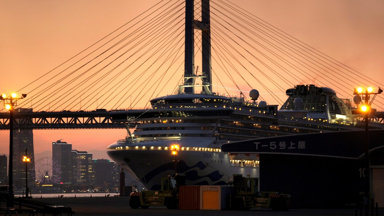Vue générale du Diamond Princess.