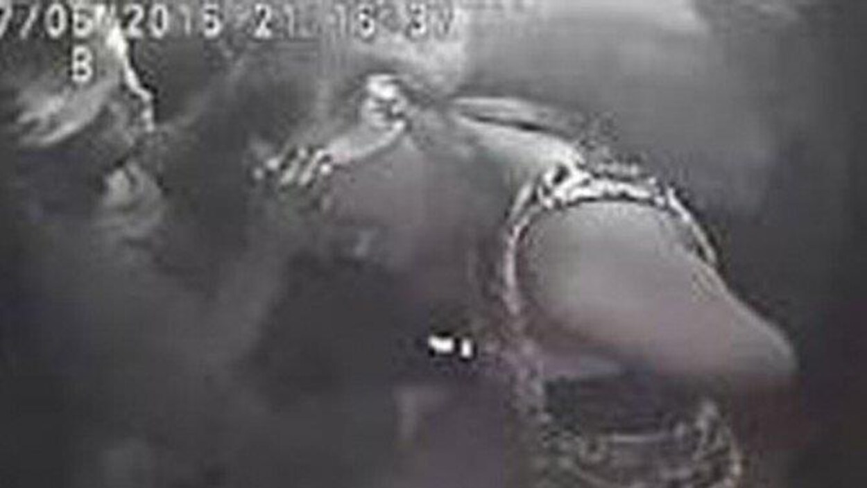 Diamond Reynolds et sa fille dans une voiture de police