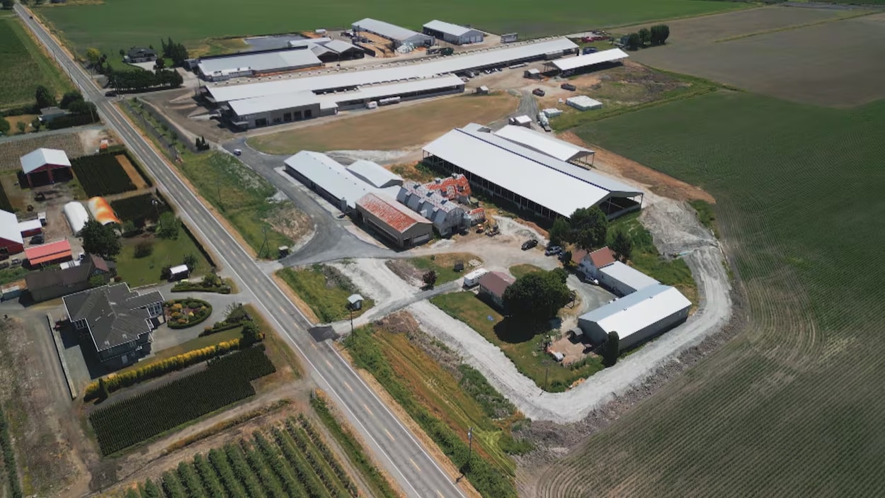 Une amende de 7000 $ pour une digue construite sans permis, à Abbotsford