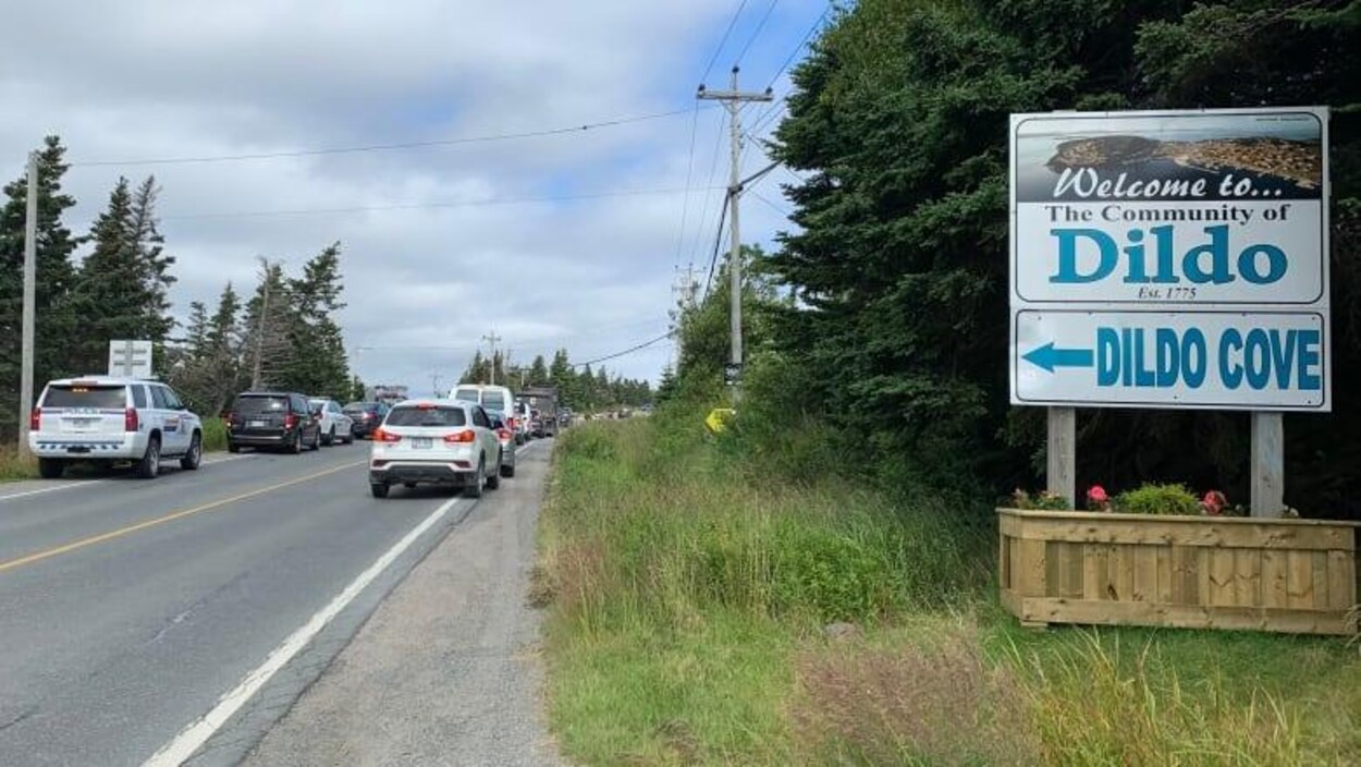 Une affiche indiquant l'entrée dans la communauté de Dildo sur le côté de la route où plusieurs autos sont stationnées.