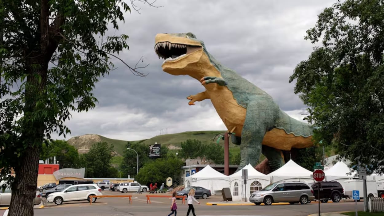 Le tyrannosaure de Drumheller passe un examen médical