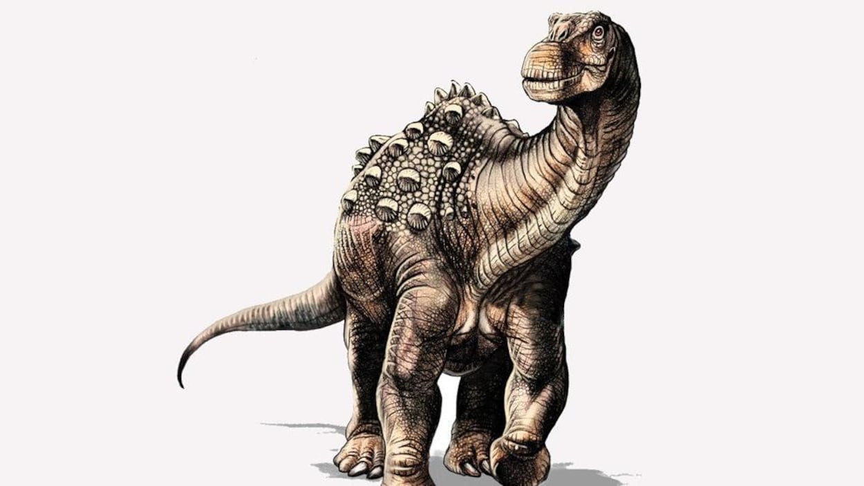 Représentation artistique du Yamanasaurus lojaensis.