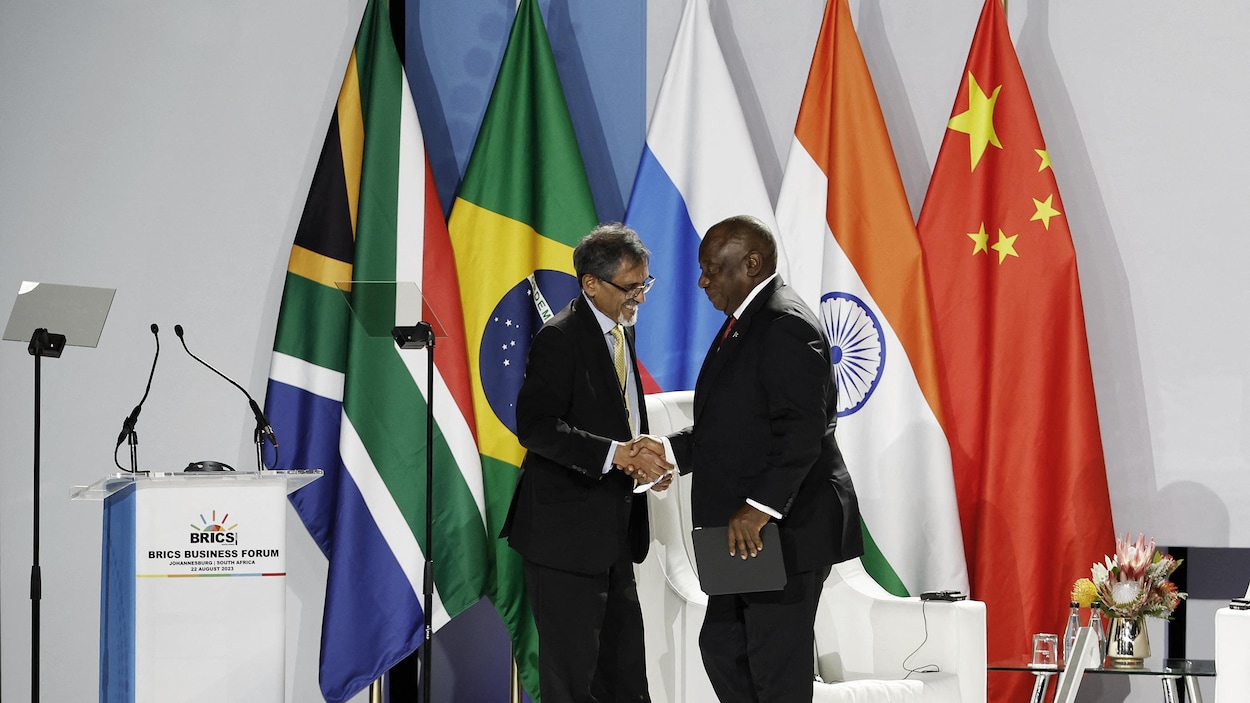 Cumbre BRICS: los países emergentes buscan influencia