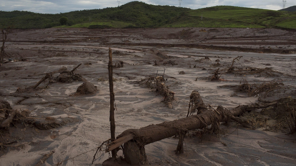Au Brésil, des Autochtones réclament justice à la veille de la COP30