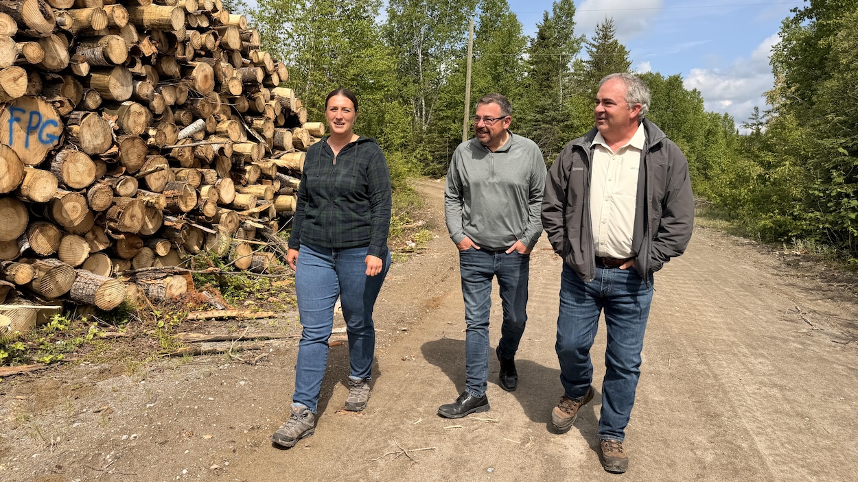 Une coalition inédite s’unit pour réinventer le régime forestier québécois