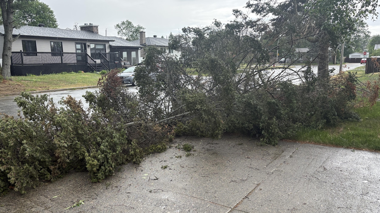 Les violents orages causent des dommages en Abitibi-Témiscamingue
