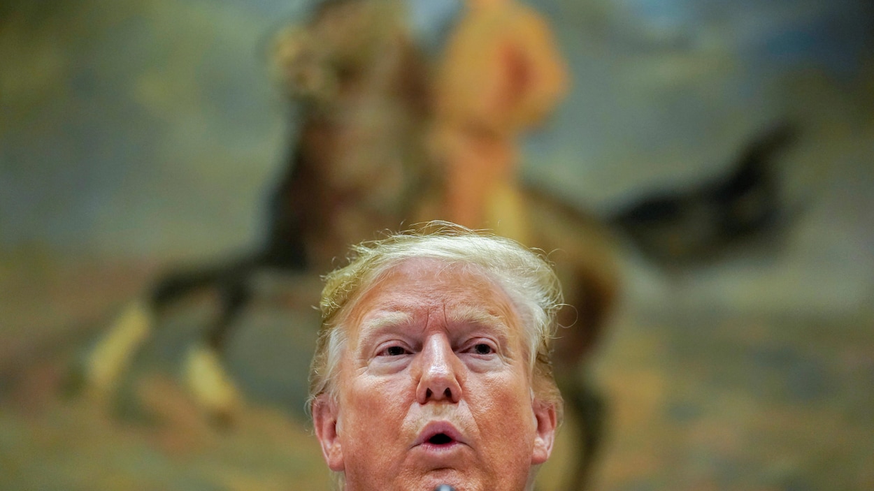 La tête du président américain Donal Trump avec, en fond de toile, un tableau de l'ancien président Teddy Roosevelt.