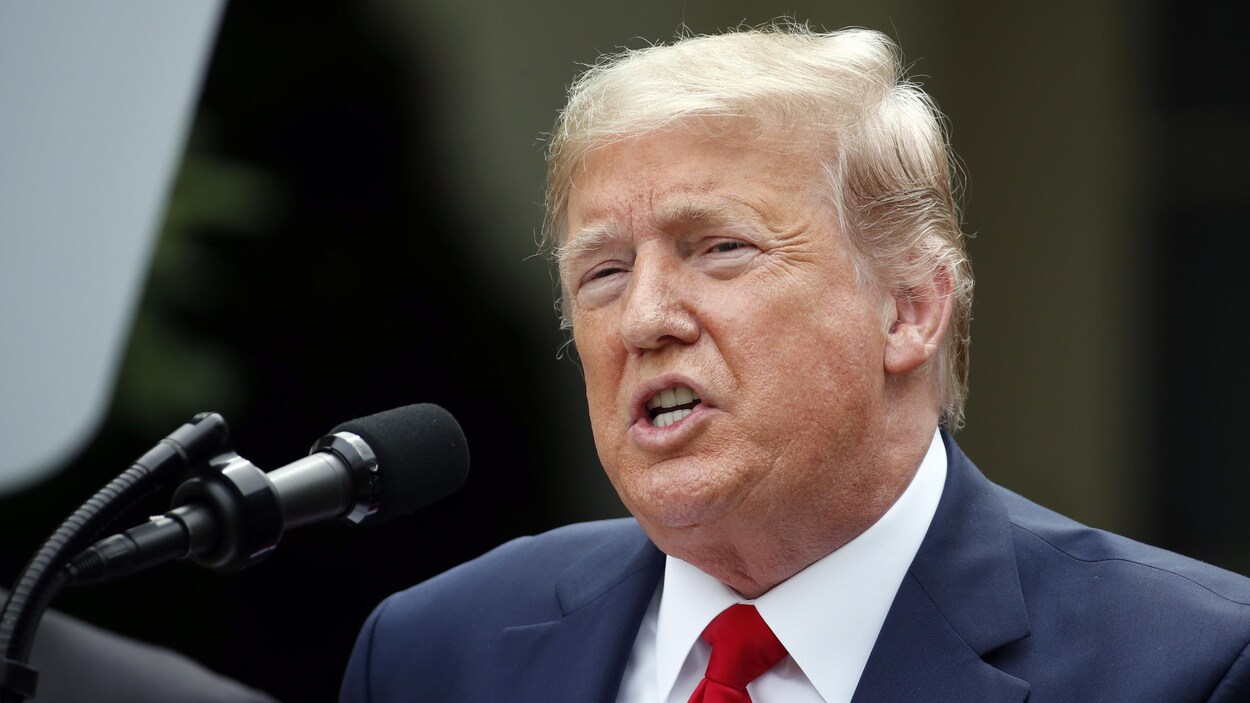 Plan rapproché de Donald Trump en conférence de presse.